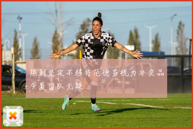 热刺坚定不移将范德芬视为非卖品今夏留队无疑