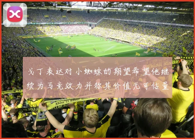 戈丁表达对小蜘蛛的期望希望他继续为马竞效力并称其价值无可估量