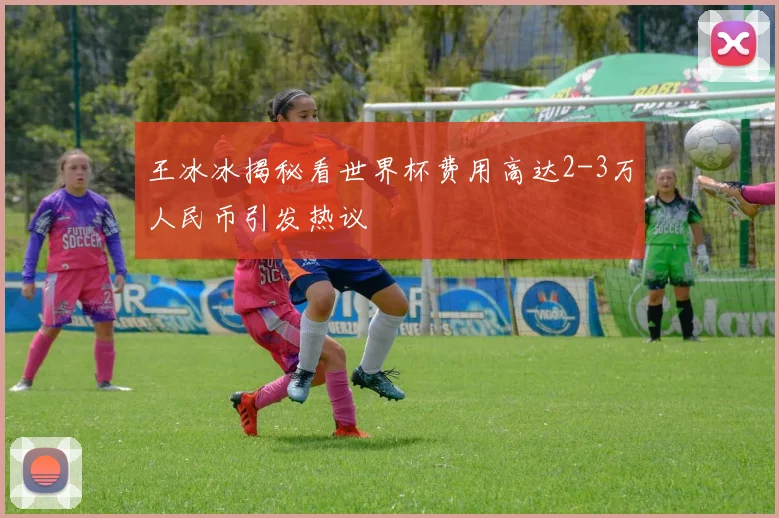 王冰冰揭秘看世界杯费用高达2-3万人民币引发热议