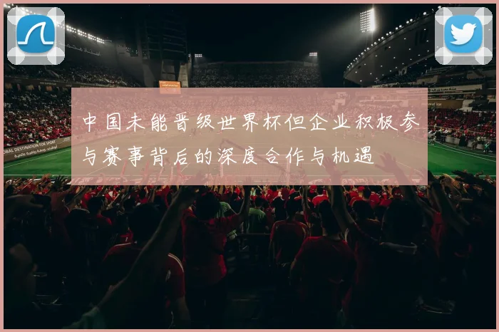 中国未能晋级世界杯但企业积极参与赛事背后的深度合作与机遇