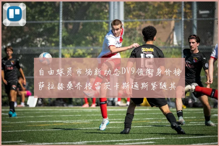 自由球员市场新动态DV9领衔身价榜萨拉赫桑乔格雷茨卡斯通斯紧随其后