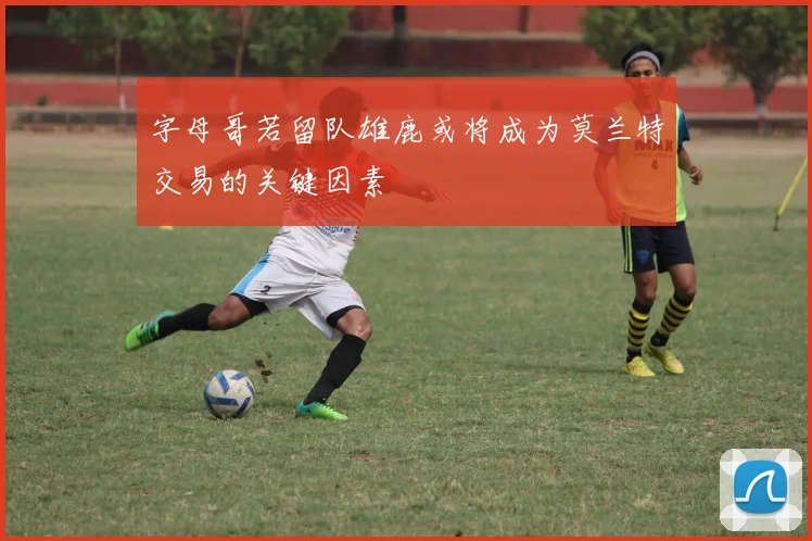 字母哥若留队雄鹿或将成为莫兰特交易的关键因素