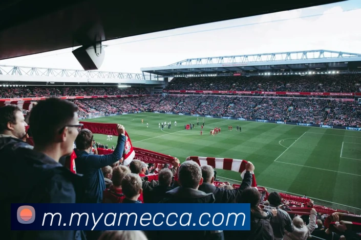 互动解说服务